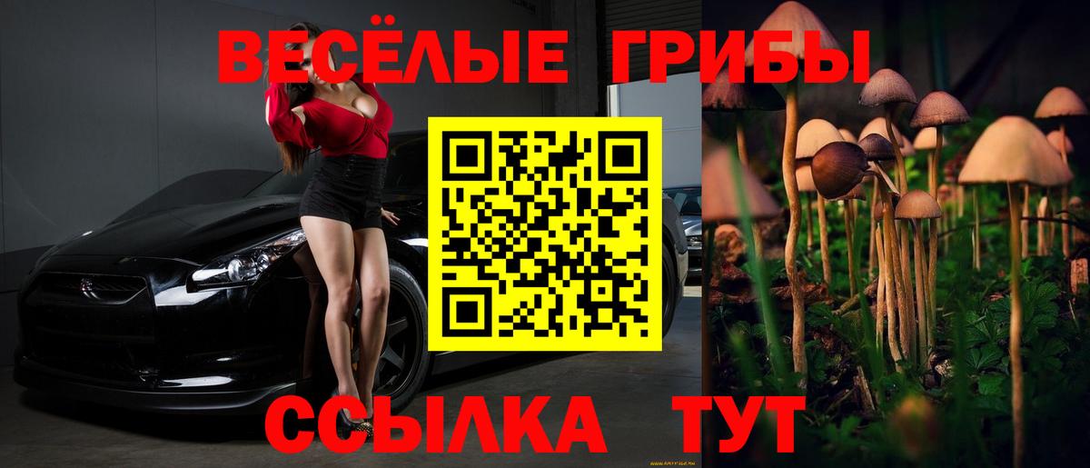 Галлюциногенные грибы GOLDEN TEACHER Дмитров